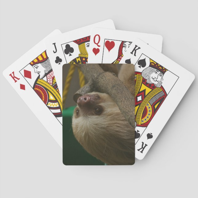 Jeu De Cartes Sloth (dos)