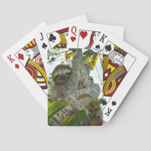 Jeu De Cartes Sloth