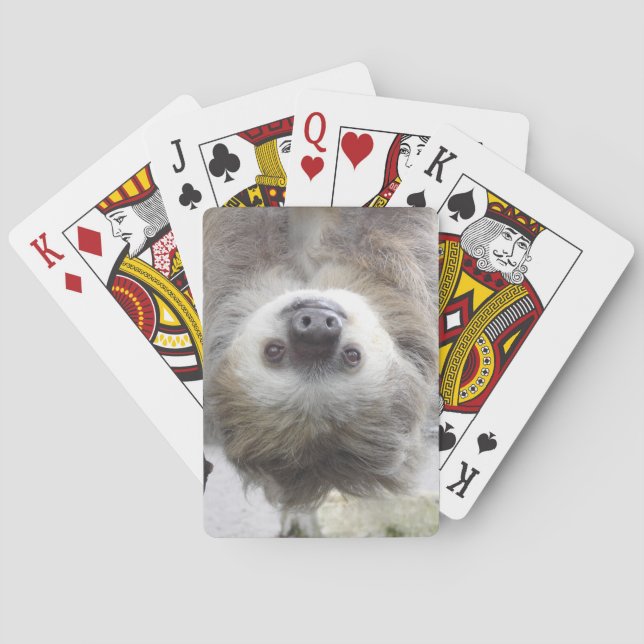 Jeu De Cartes Sloth Playing Cards (dos)