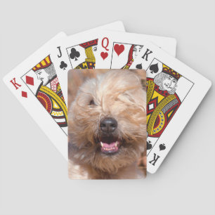 Jeu De Cartes Soft Coated Wheaten Terrier portrait