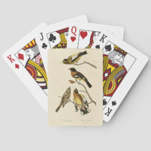 Jeu De Cartes Soirée, Oiseaux tachetés de Grosbeak Audubon d'Amé
