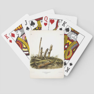 Jeu De Cartes Souris de récolte de l'Est ou petite souris de réc