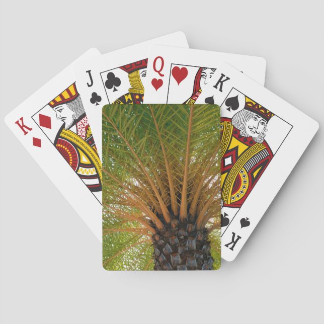 Jeu De Cartes Sous-face d'un palmier (dos)