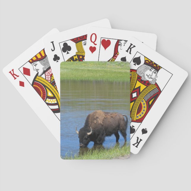 Jeu De Cartes Souvenir de Buffalo de Yellowstone (dos)