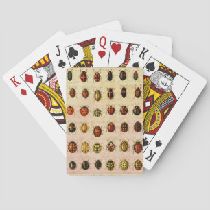 Jeu De Cartes Spécimen de coccinelle vintage Motif Insecte antiq