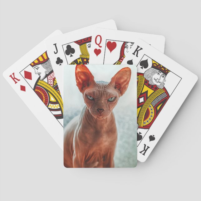 Jeu De Cartes Sphynx sans cheveux (dos)
