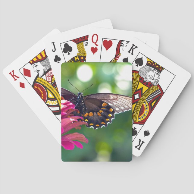 Jeu De Cartes Spicebush Swallower (dos)