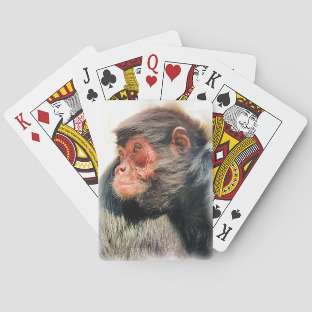 JEU DE CARTES SPIDER MONKEY (dos)