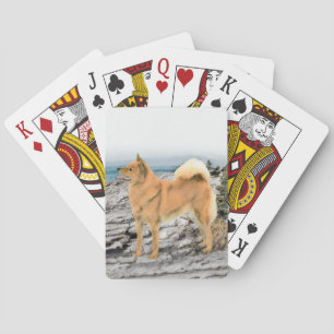 Jeu De Cartes Spitz finlandais à Seashore Peinture - Chien Art