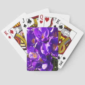 JEU DE CARTES SPRING CROCUS