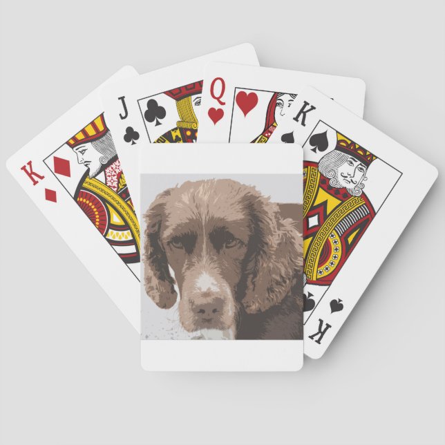 Jeu De Cartes Springer Anglais (dos)