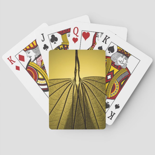 Jeu De Cartes Squelette de feuille (dos)