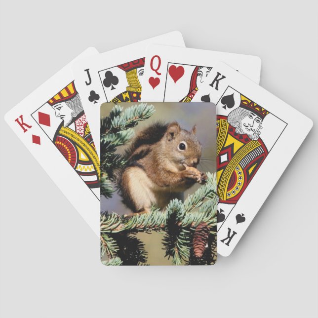 Jeu De Cartes Squirell Jouer Aux Cartes (dos)