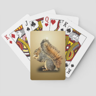 JEU DE CARTES SQUIRREL