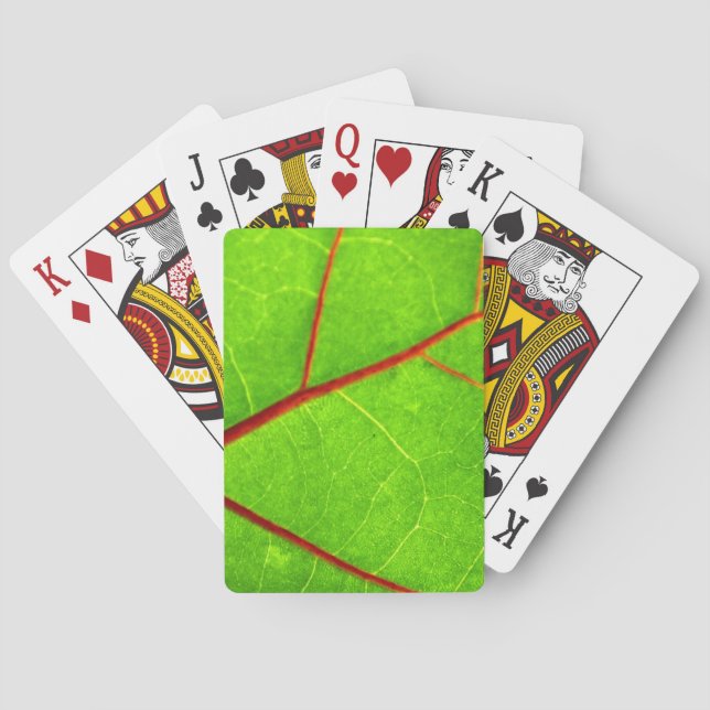 Jeu De Cartes St. Thomas 1 (dos)
