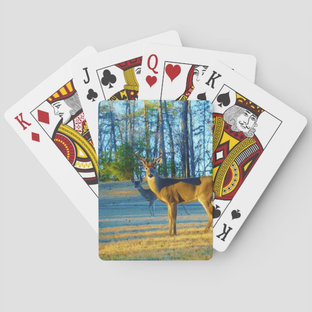 Jeu De Cartes Stade / Buck Deer, Ciel bleu clair (dos)