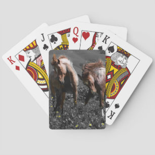 Jeu De Cartes Stallion Spar