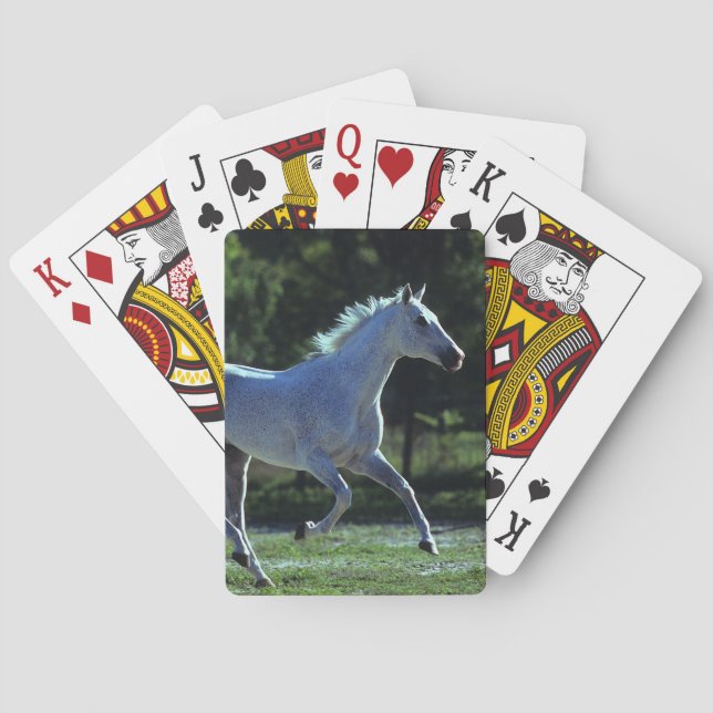 Jeu De Cartes Stallion Thoroughbred Running (dos)