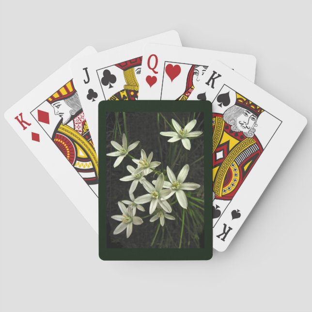 Jeu De Cartes Star of Bethlehem Flower Playing Cartes (dos)