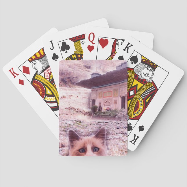 Jeu De Cartes Stare-Chat Classic Jouer Cartes (dos)