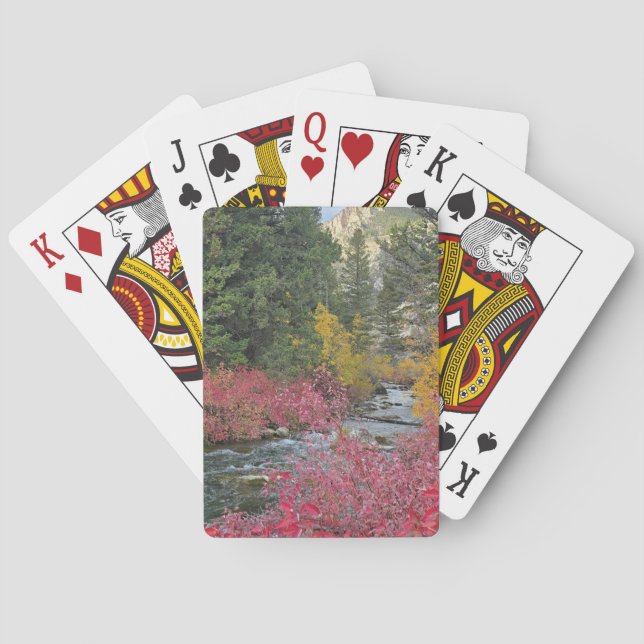 Jeu De Cartes Stream Blooms Playing Cards (dos)
