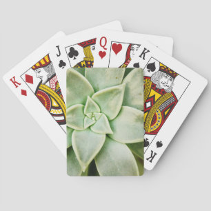 Jeu De Cartes Succulente de printemps