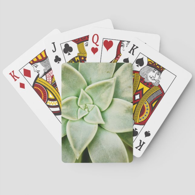 Jeu De Cartes Succulente de printemps (dos)