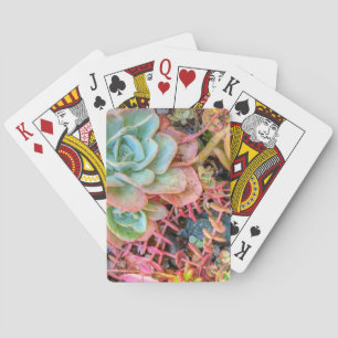 Jeu De Cartes Succulents