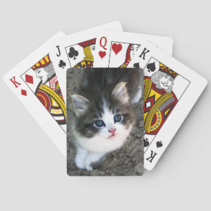 Jeu De Cartes SUPER CUTE Kitten