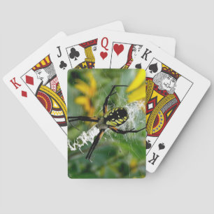 Jeu De Cartes Superbe araignée orbiculaire dans sa toile