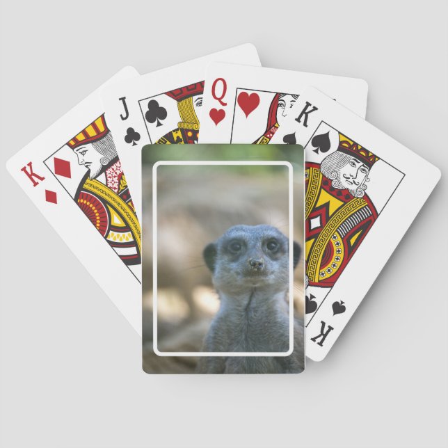 Jeu De Cartes Suricate drôle (dos)