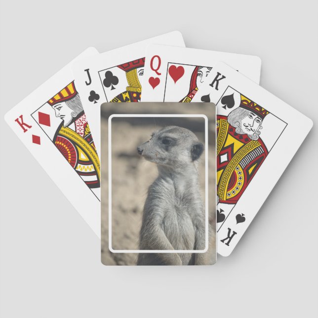 Jeu De Cartes Suricate drôle (dos)