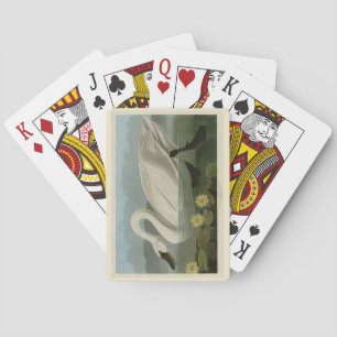 Jeu De Cartes Swan commun américain - Les oiseaux d'Amérique d'A