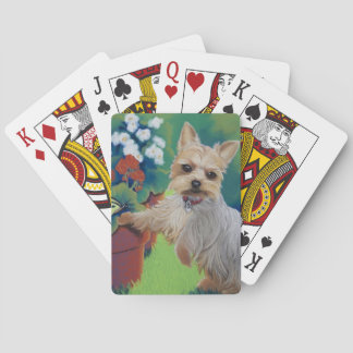 Jeu De Cartes Sweetness Yorkie