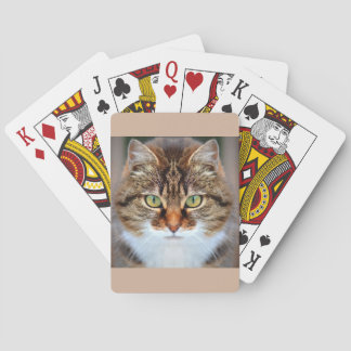Jeu De Cartes Tabby Cat