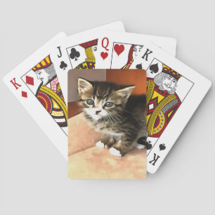 Jeu De Cartes Tabby Cat Kitten Portrait pour animaux