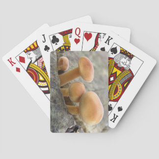Jeu De Cartes Tabourets sur un tronc d'arbre Jouer aux cartes