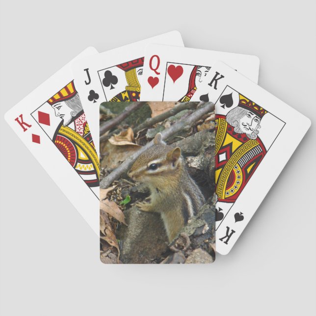 Jeu De Cartes Tamia rayé - Tamias striatus (dos)