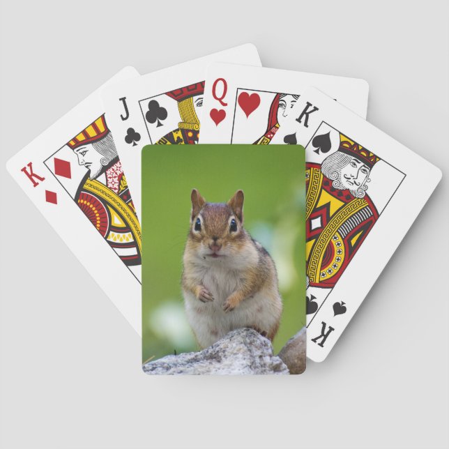 Jeu De Cartes Tamia se reposant sur une roche (dos)