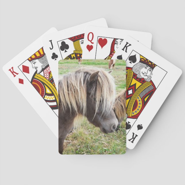 Jeu De Cartes Tan Coloré Shetland Pony, (dos)