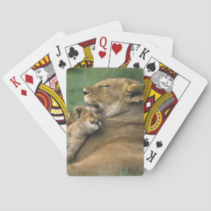 Jeu De Cartes Tanzanie, cratère du Ngorongoro. Lionne africaine