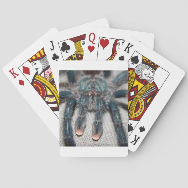 Jeu De Cartes tarantule bleue (dos)