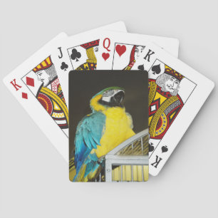 Jeu De Cartes Taz...