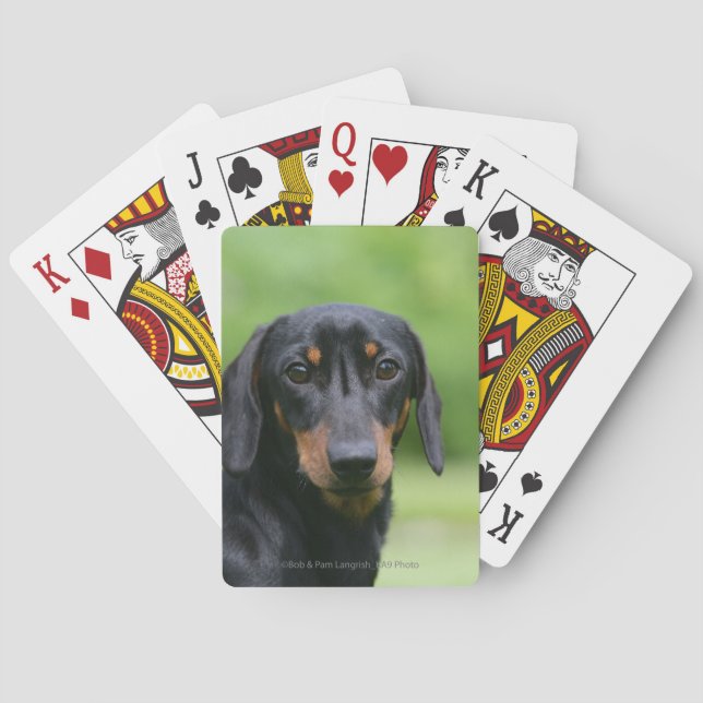 Jeu De Cartes Teckel miniatura noir et feu 1 (dos)