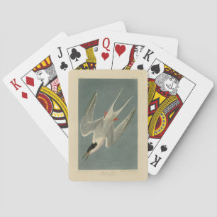 Jeu De Cartes Terne de rose des oiseaux d'Amérique d'Audubon