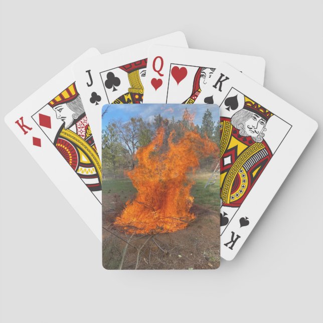 Jeu De Cartes Terre Fosse Biochar (dos)