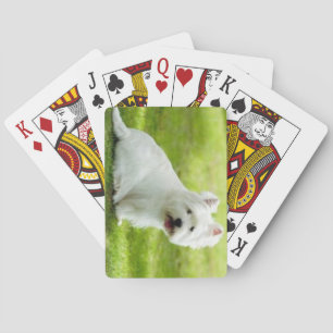 Jeu De Cartes terrier écossais