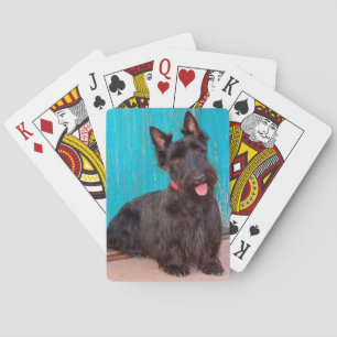 Jeu De Cartes Terrier écossais assis près d'une porte colorée