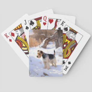 Jeu De Cartes Terrier Fox à poil dur Qu'il neige Noël