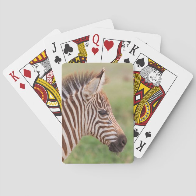 Jeu De Cartes Tête de bébé zèbre, Tanzanie (dos)